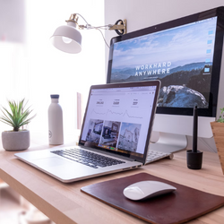 Windows 11 Work From Home