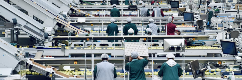 Biometric Access Control Systems in Food Manufacturing