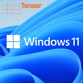 Windows 11 (1).png