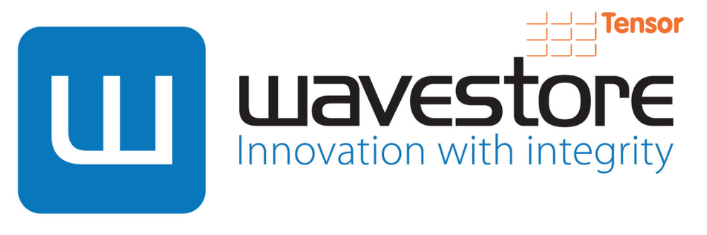 Wavestore CCTV