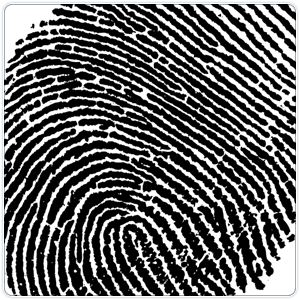 Fingerprint reader secures access to sensitive areas of a property image 1