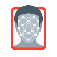 Biometric face recognition