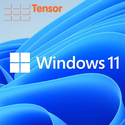 Windows 11 Hybrid Working is Compatible with Tensor Time & Attendance case study image