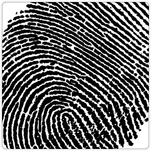 Fingerprint reader secures access to sensitive areas of a property image 1